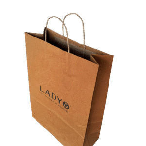 Paper Box Bag (Standard)