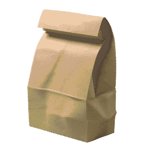 Paper Parcel Bag